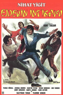 Ejderin İntikamı (1984) Ejderin İntikamı (1984)