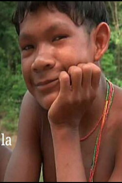 El código de la Amazonia (2013) El código de la Amazonia (2013)