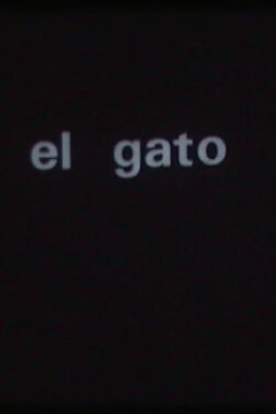 El gato (1976) El gato (1976)