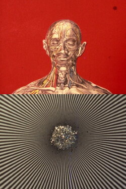 El mensaje es facial (1976) El mensaje es facial (1976)