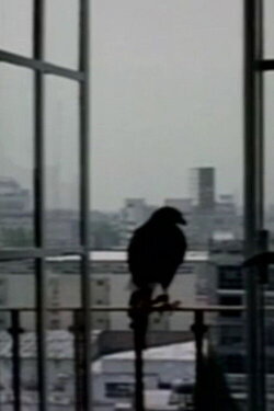 El otro cuarto (2006)
