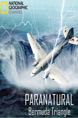 El triángulo de las Bermudas (2013) El triángulo de las Bermudas (2013)