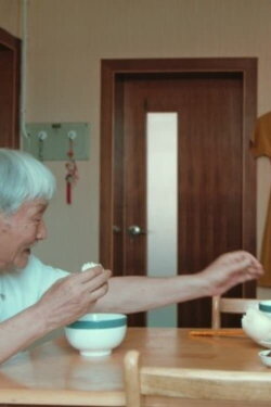 Elderly People Living Alone (2021)