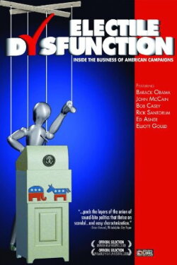 Electile Dysfunction: Inside the Business of American Campaigns (2008)