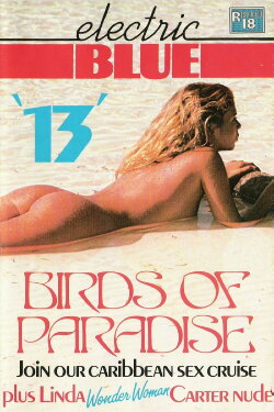 Electric Blue 13 (1984) Electric Blue 13 (1984)