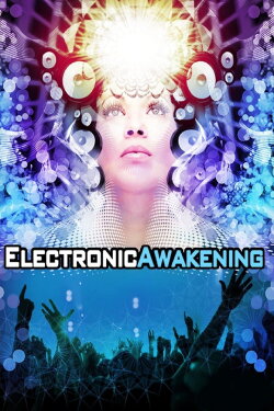 Electronic Awakening (2011)