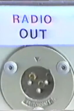 Electronical Politics (1988)