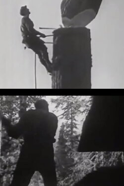 Elegy for Saw (2019) Elegy for Saw (2019)