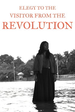 Elegy to the Visitor From the Revolution (2011) Elegy to the Visitor From the Revolution (2011)