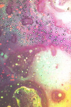 Elemental Correspondence (2019) Elemental Correspondence (2019)