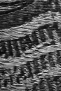 Elements (1978)
