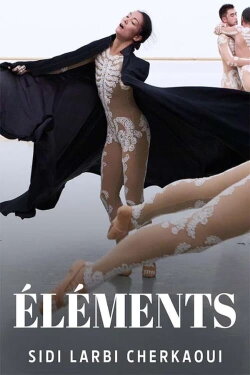 Éléments (2023) Éléments (2023)