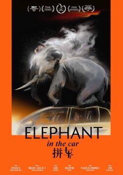 Elephant in the Car (2020)