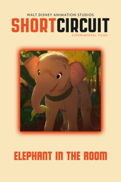 Elephant in the room (2020)