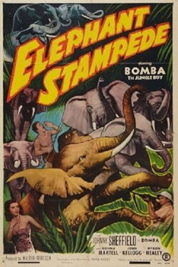 Elephant Stampede (1951) Elephant Stampede (1951)