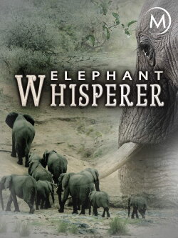 Elephant Whisperer (2012) Elephant Whisperer (2012)