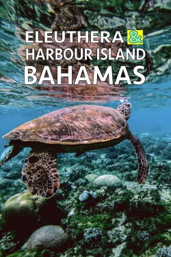Eleuthera & Harbour Island: Bahamas (2021) Eleuthera & Harbour Island: Bahamas (2021)
