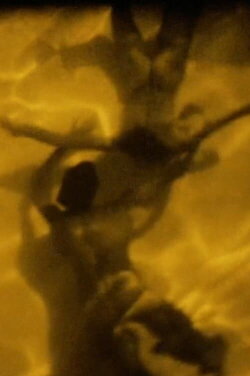 Elevation (1989)