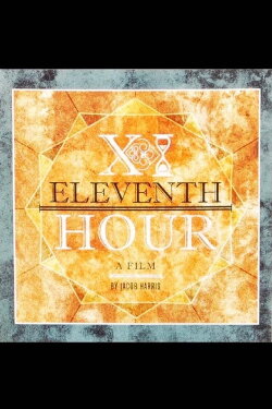 Eleventh Hour (2013)