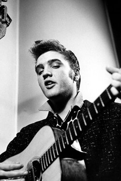 Elvis Rise And Fall Of The King (2021) Elvis Rise And Fall Of The King (2021)