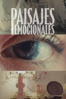 Emotional Landscapes (2024) Emotional Landscapes (2024)