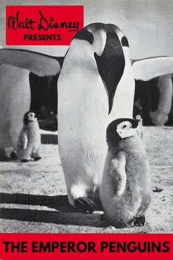 Emperor Penguins (1955) Emperor Penguins (1955)