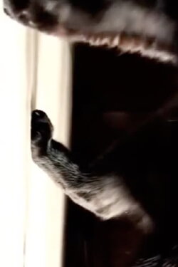 Empezando de cero (2004)