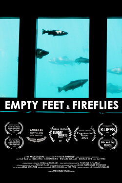 Empty Feet & Fireflies (2021)