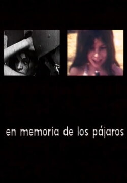 En memoria de los pájaros (2000) En memoria de los pájaros (2000)