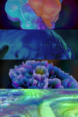 Endless Forms Most Beautiful (2020) Endless Forms Most Beautiful (2020)