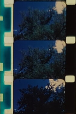 Englewood Cottonwood (1997) Englewood Cottonwood (1997)