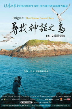 Enigma: The Chinese Crested Tern (2021) Enigma: The Chinese Crested Tern (2021)