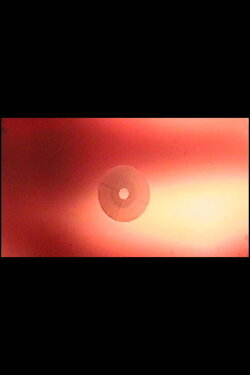 Ensaio para a mão esquerda (1998)