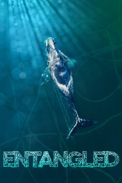 Entangled (2020)