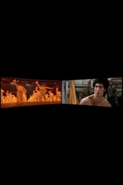 Enter the Dragon 1973-2008 (2010) Enter the Dragon 1973-2008 (2010)