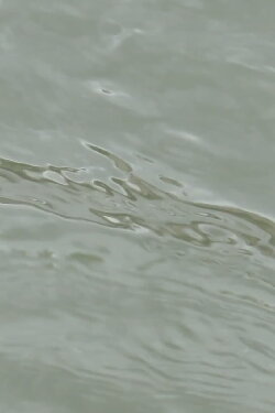 entre les vagues (un hommage) (2023) entre les vagues (un hommage) (2023)