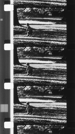 Envío 3 (2005) Envío 3 (2005)