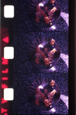 Ephemeral (1979)