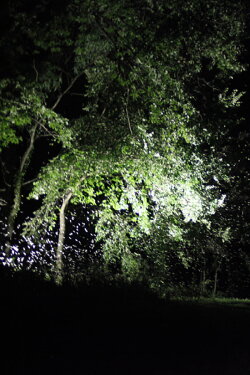Ephemeres (2014)