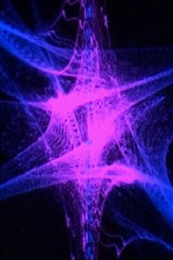 Ephèse (2004)