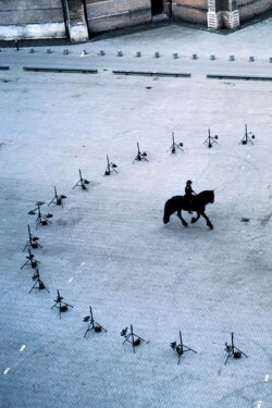 Equestrian (2013)