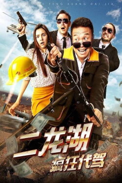 Erlonghu Designated Driver (2018)