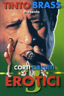 Erotic Short Circuits Vol.3 (1998)