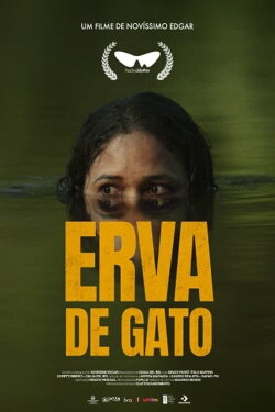 Erva de Gato (2023) Erva de Gato (2023)