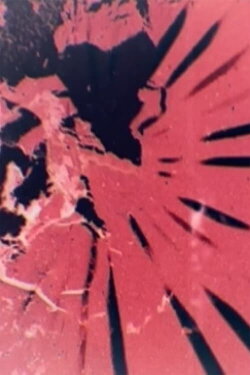 Escape the Light (2014)