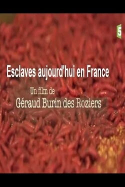 Esclaves aujourd'hui en France (2017) Esclaves aujourd'hui en France (2017)