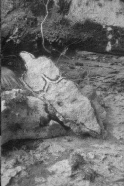 Esculturas Rupestres (1981)