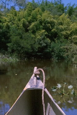 Esperita (2016)