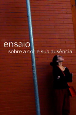 Essay on color and its absence (2022) Essay on color and its absence (2022)