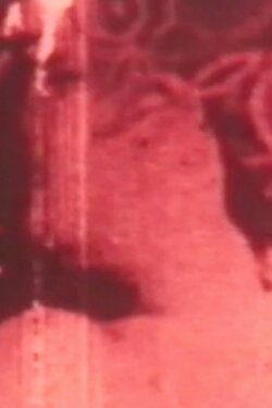 Essence of Absinthe (1981)